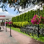 波什酒店 酒店 华沙